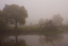 Nebel / ***