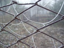 Der erste Herbst Frost / ***