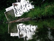 grüne Ecke / ***