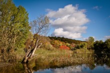 Herbst / ***