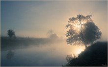 Nebliger Morgen / ***