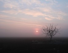 Morgendämmerung / ***