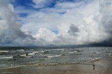 Kid und Meer / ***
