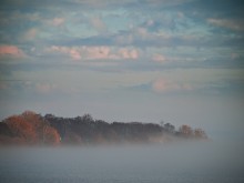Insel im Nebel / ***