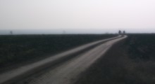 Weg / ***