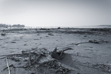 das Wasser ist weg / ***