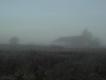 verloren in einer temporären Nebel ..... / ***********************