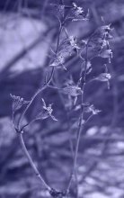Stimmung / ***