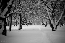 Winter / 04.01.2011