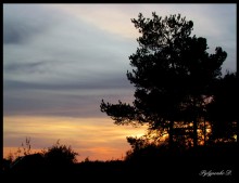 Sunset Surgut / ***