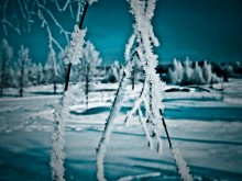 Frost und Sonne / ***