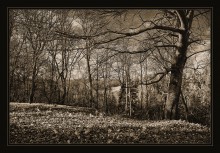 Wir brechen / ***