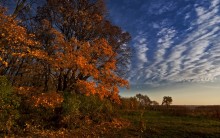  / autumn tango