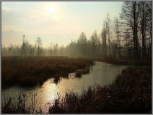 In der Forest 3 / ***