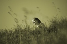 Freude / ***