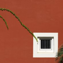 Fenster / ***