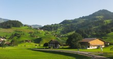 Auf dem Weg zu den Alpen. / ____