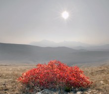 Insel Herbst Schönheit / ***