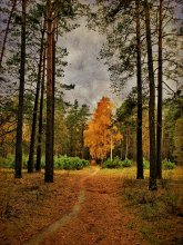 Fußweg / *********