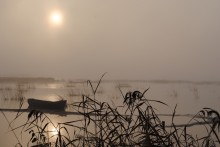 durch den Nebel / ***