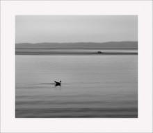 Schwimmend / ******