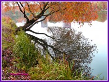 Herbst / ***