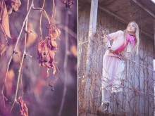 crazy alice / *******