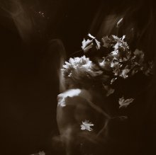 suite / ***
