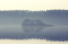 Erwerb von realen / ***
