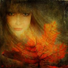 Herbst / ***