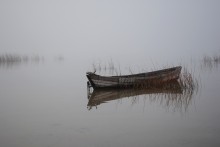im Nebel / *******