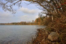 Autumn Etudes / *****