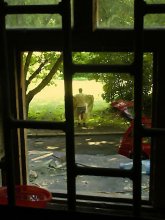 View from window / ***