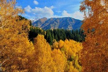 Berge im goldenen Kleid / ***