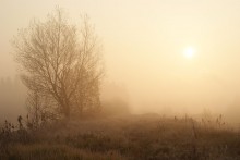 Nebel,,, / ,,,,,,,,,