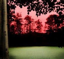 Sonnenuntergang über dem Sumpf. BSSR gewidmet. / ***