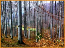 Herbst / ***