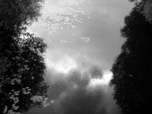 Regen, im Wasser spiegeln / ***