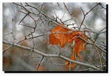 Es wird Frühling / ***