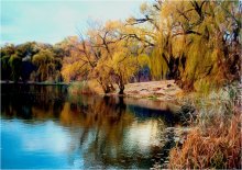 Herbst Meditation / ***