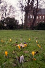 Frühling auf / ***