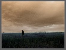 Morgen / ***