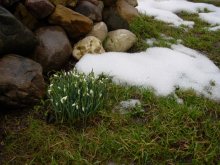 Der Frühling ist da! / ***