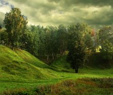 Altweibersommer / ***