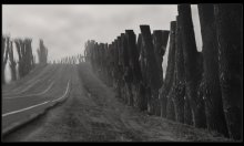 Der Weg zum ... / ***
