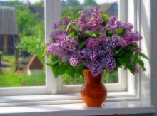 Bouquet / *******