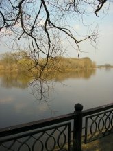 In welcher / ***