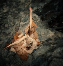  / ***