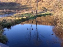 Herbst / ***