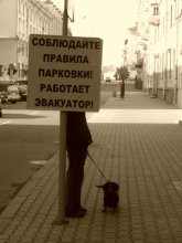 Strenge Regeln der Hund! / ***